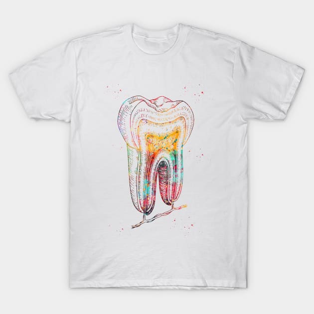 Human tooth structure T-Shirt by erzebeth